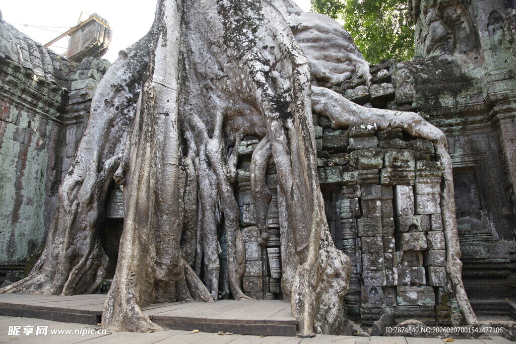 吴哥窟树根缠绕古老建筑