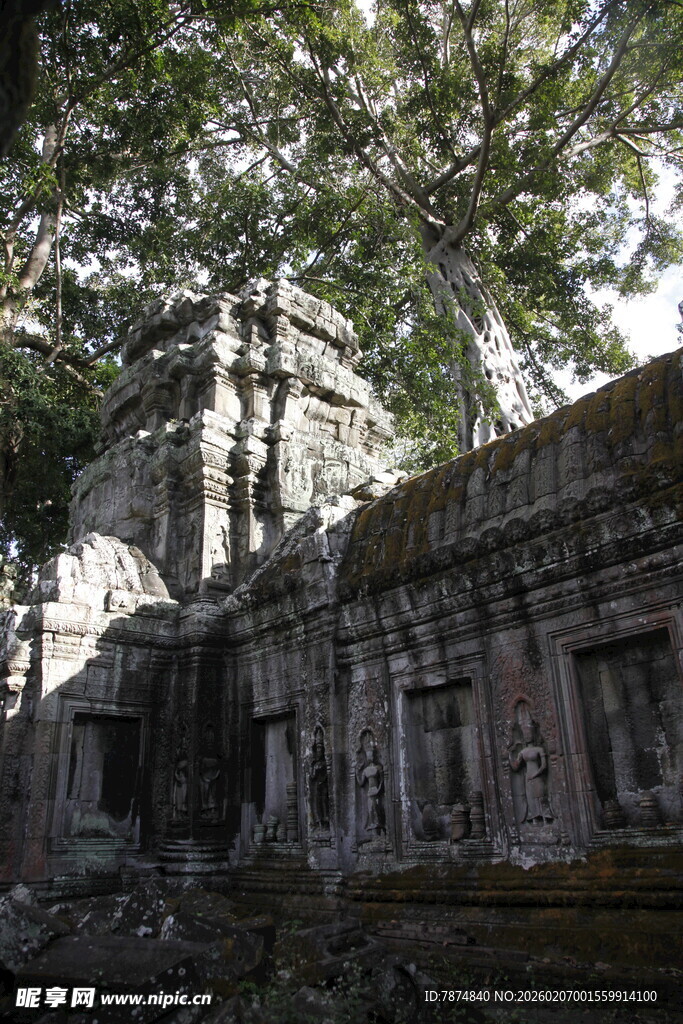 古老丛林中的神秘废弃建筑