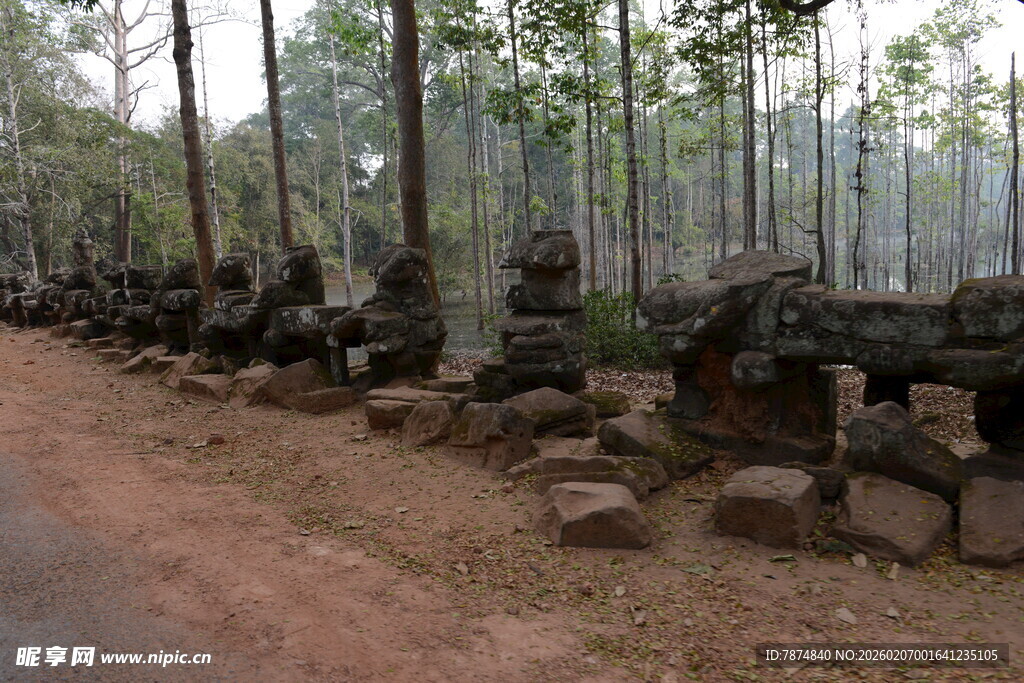 古老丛林中的石砌遗迹