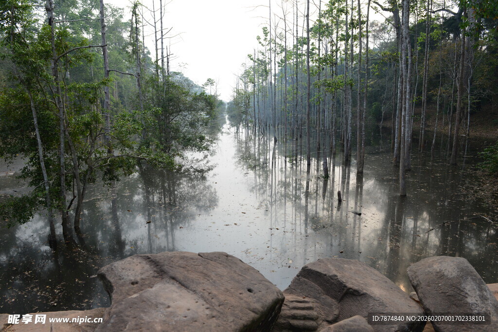 静谧河畔的自然景致