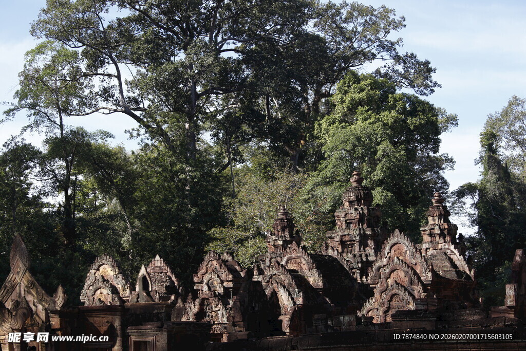 古老寺庙隐于繁茂树林中