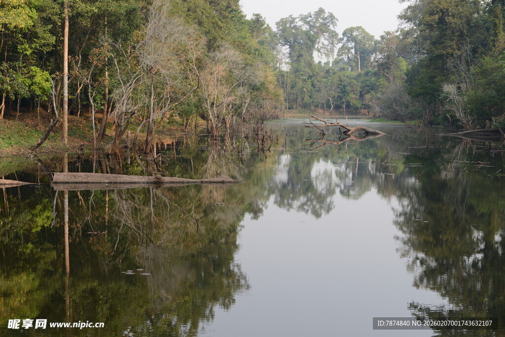 宁静河畔的自然美景