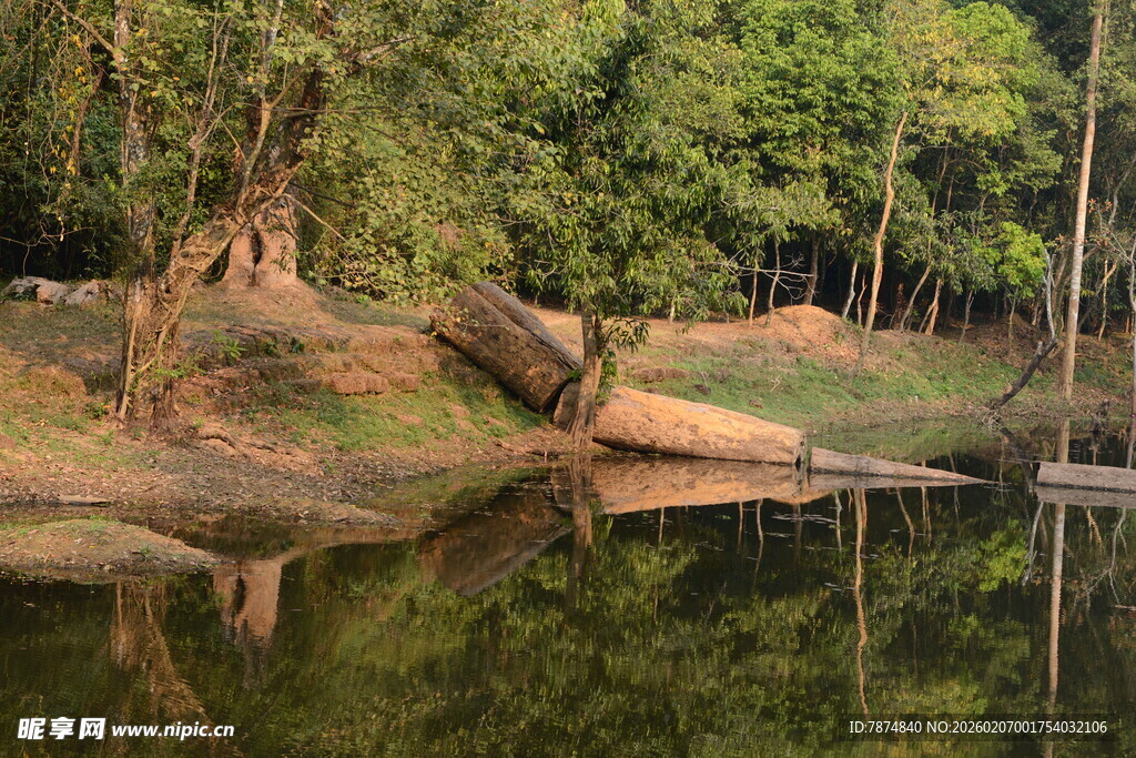 湖畔树林倒影美景