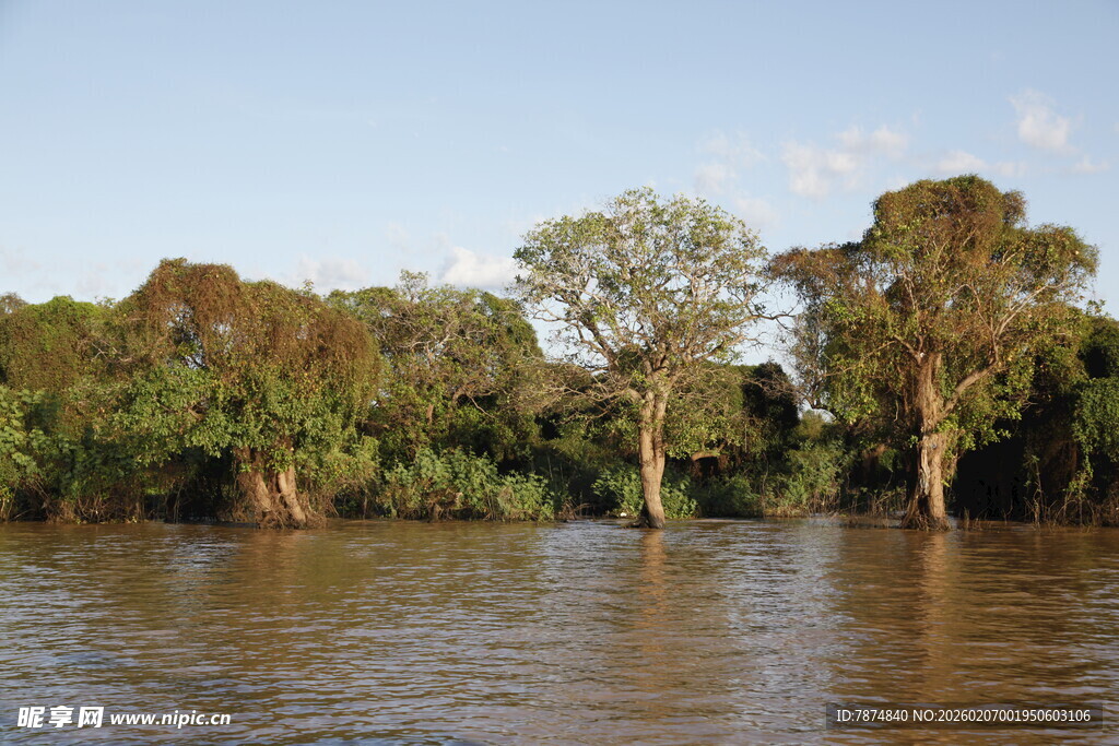 河畔绿树成荫的自然景致