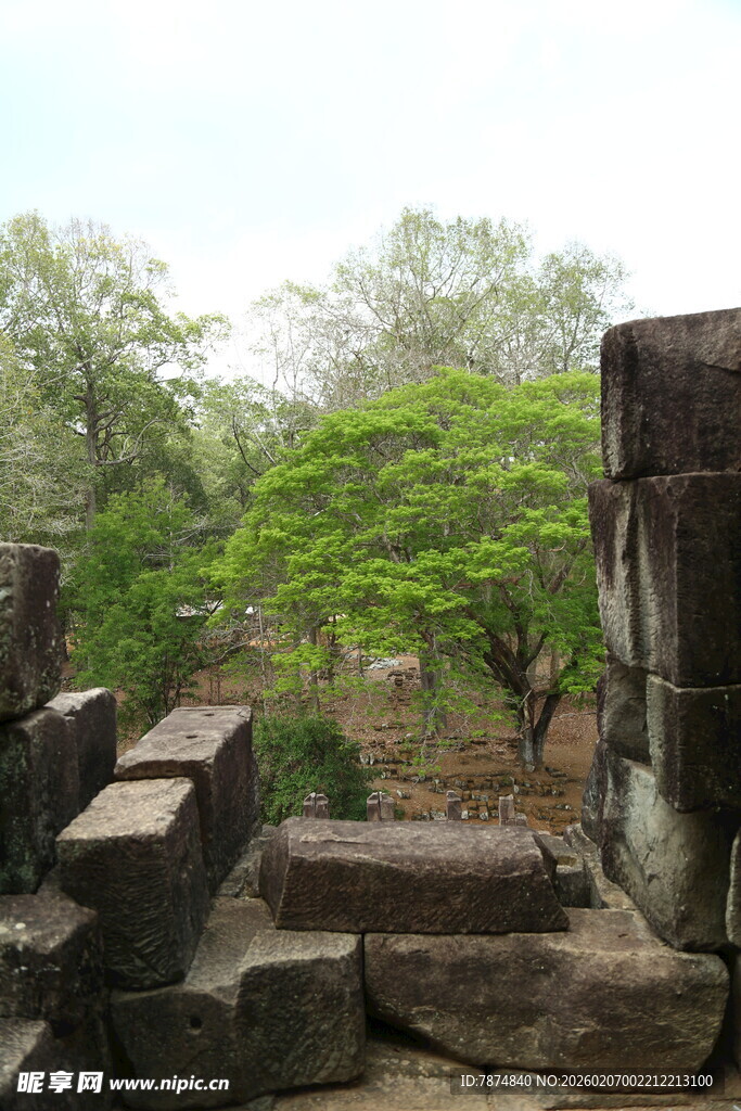 古老遗迹旁的繁茂绿树