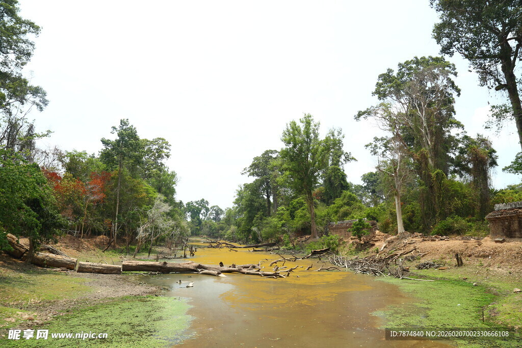 乡村泥泞小路与葱郁树木