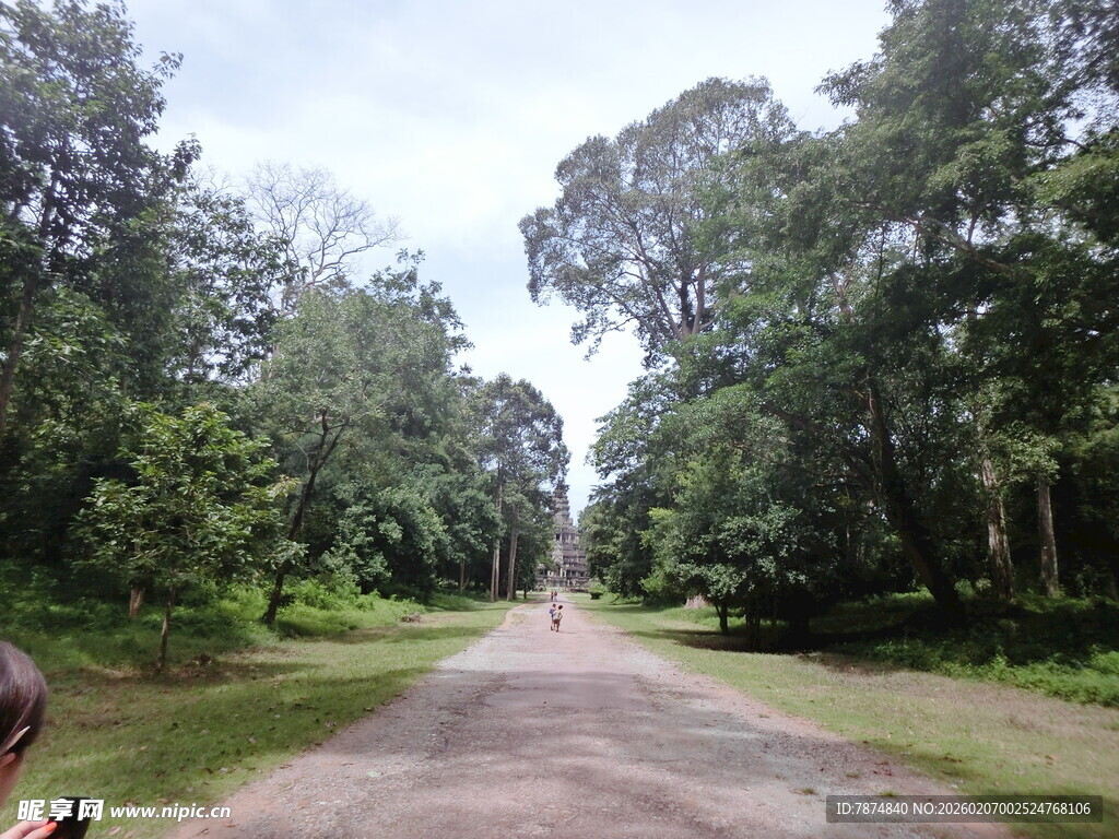 林间幽静土路 绿意盎然