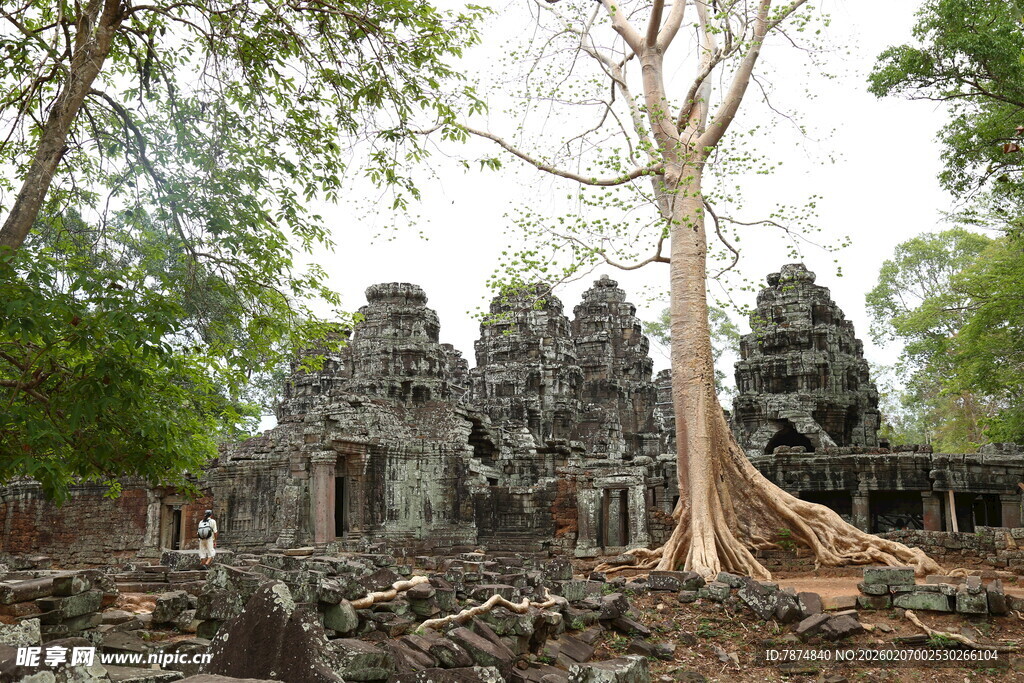 吴哥古迹 古树缠绕的神秘建筑