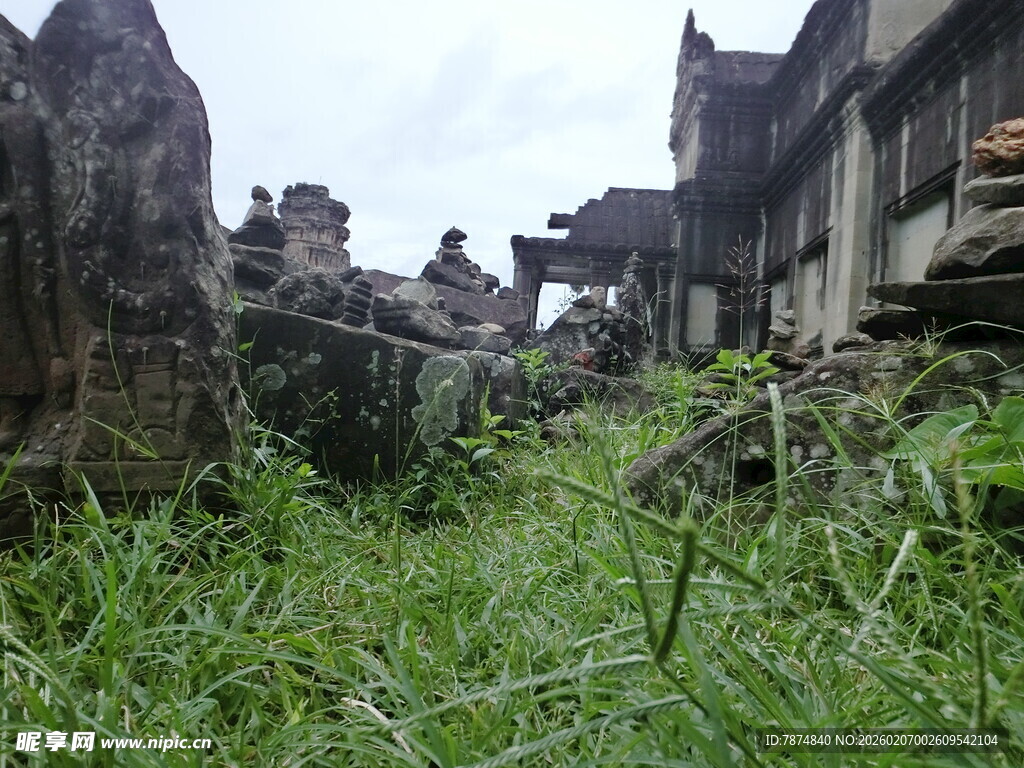 荒废古迹中的茂盛野草