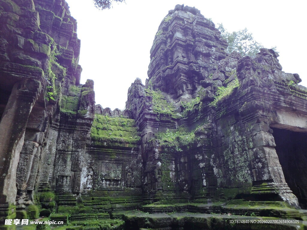 吴哥窟古老石像与繁茂植被