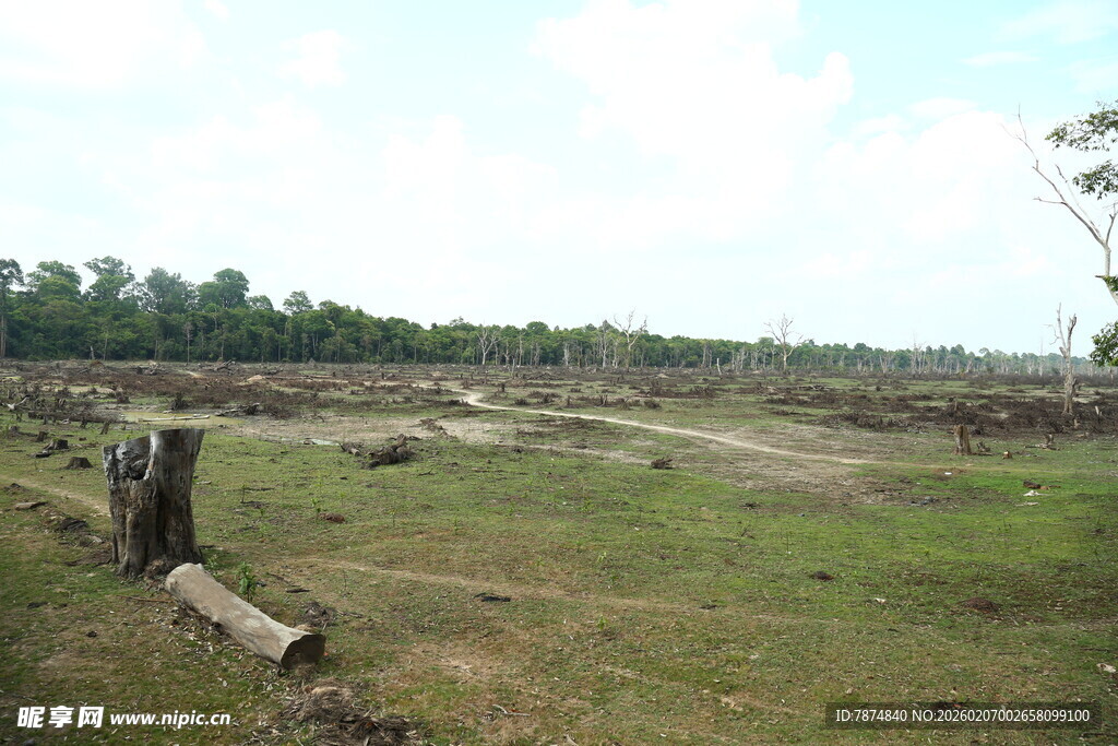 野外荒废草地与木栅栏