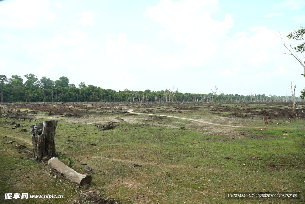 荒废草地与残旧围栏景象