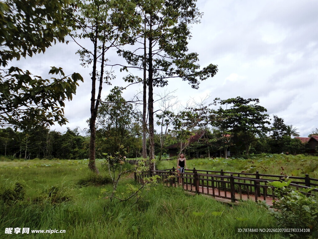 林间木栈道 绿野风光