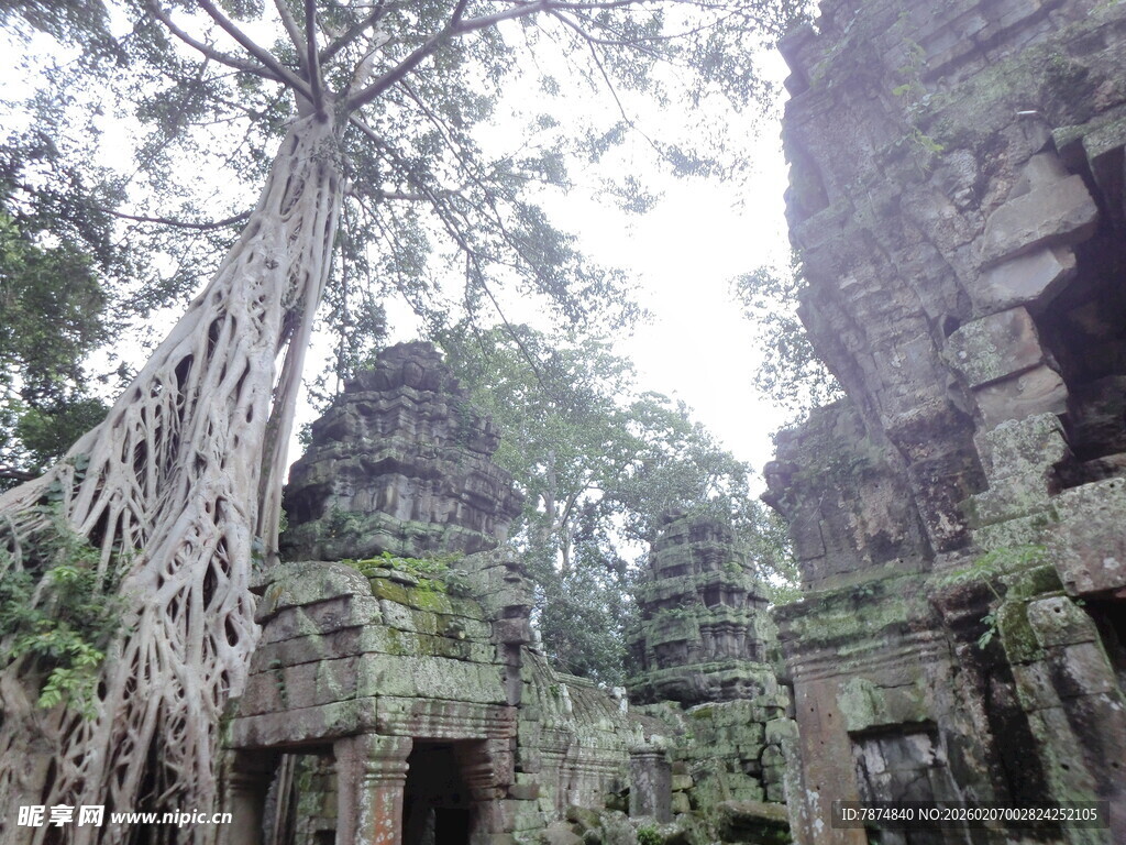 古老庙宇与盘绕树根奇观