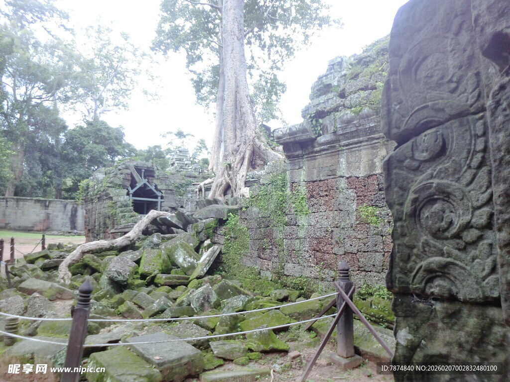 吴哥窟古遗迹与盘根错节树