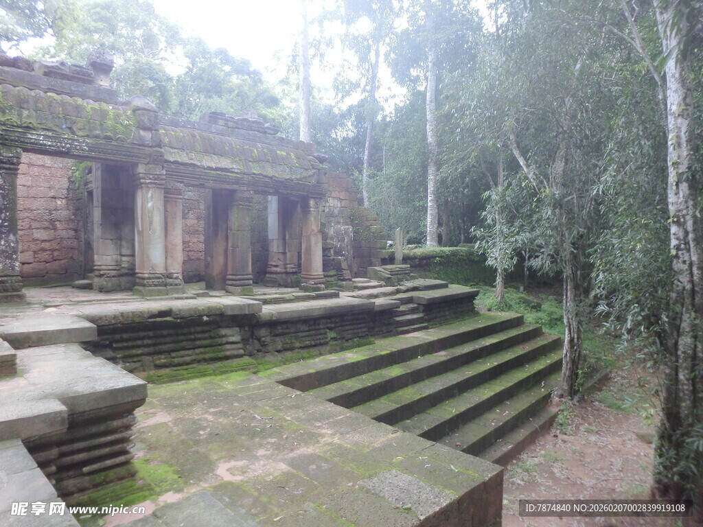 古老丛林中的神秘遗址