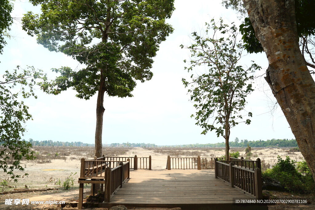 河畔木桥旁的绿树景致