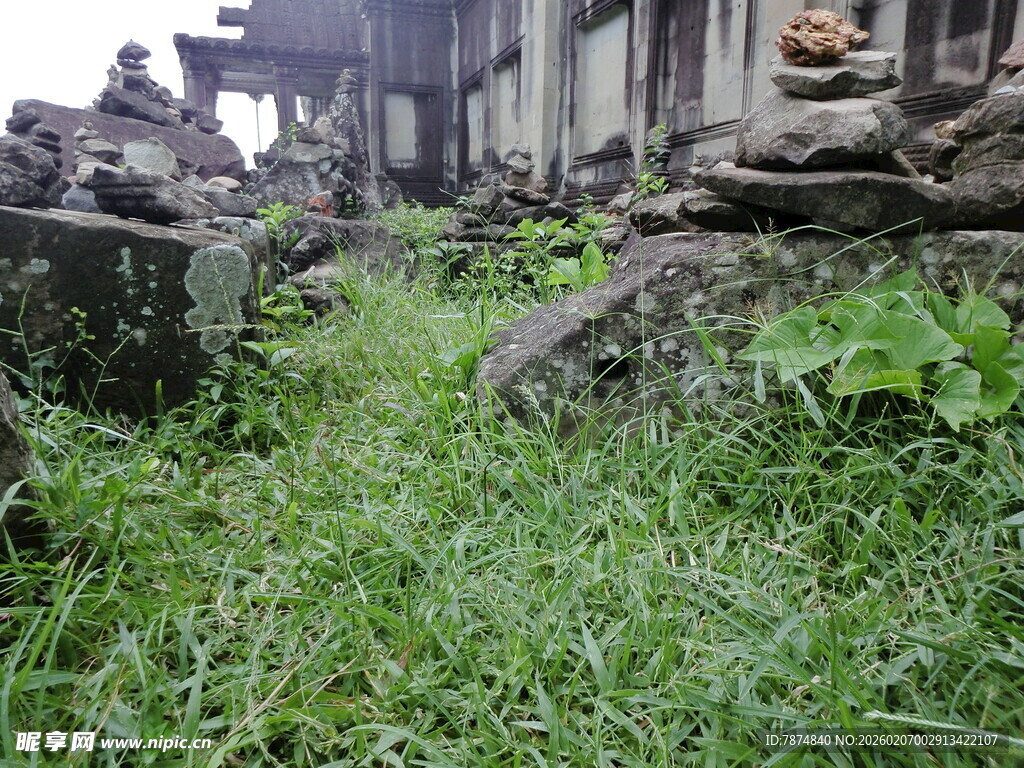 荒废遗迹中茂盛生长的绿草