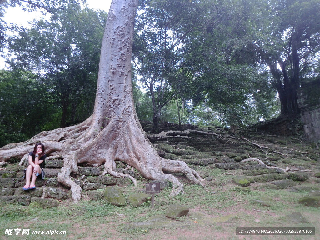 人倚古老大树根系休憩