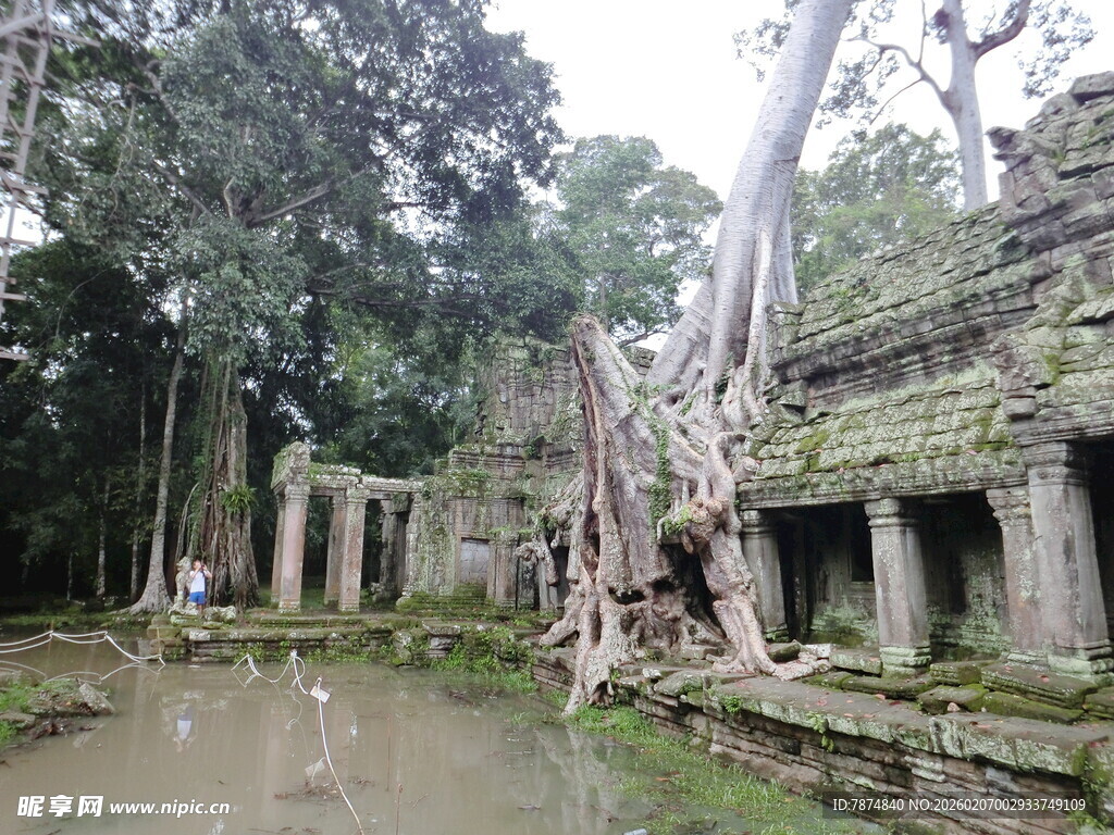 古老寺庙被树根缠绕景观