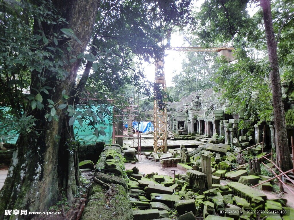 丛林中的古老遗迹景观