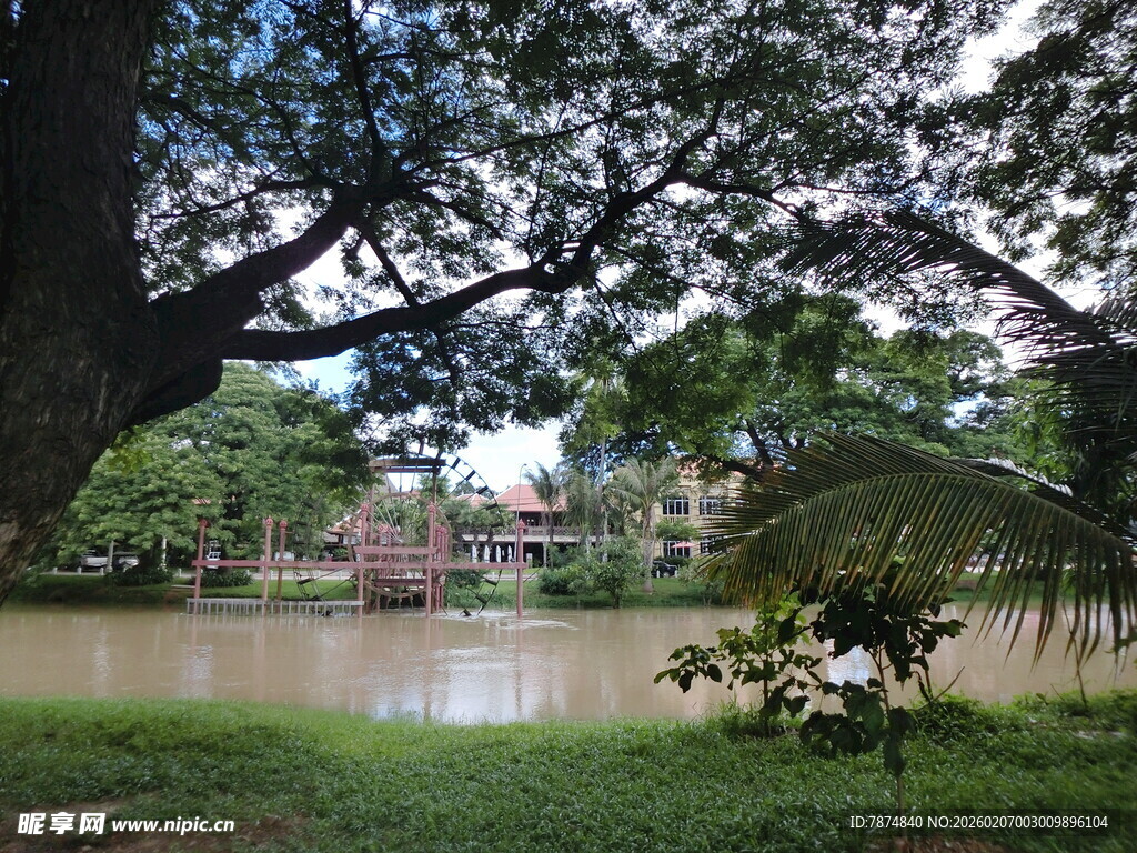 湖畔绿荫下的静谧景致