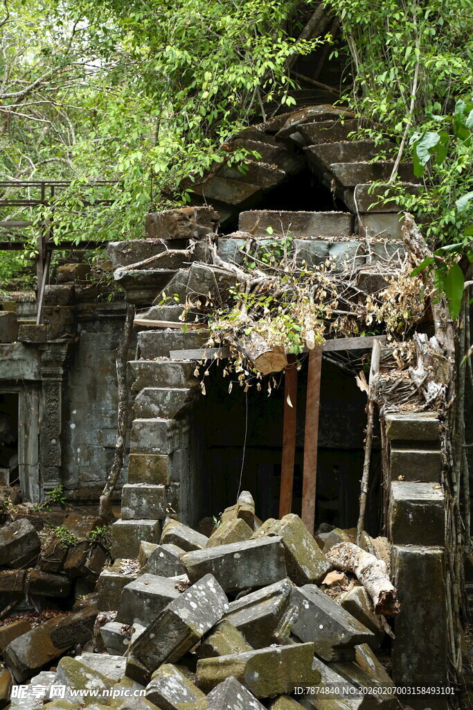 废弃老屋 绿植环绕的残垣