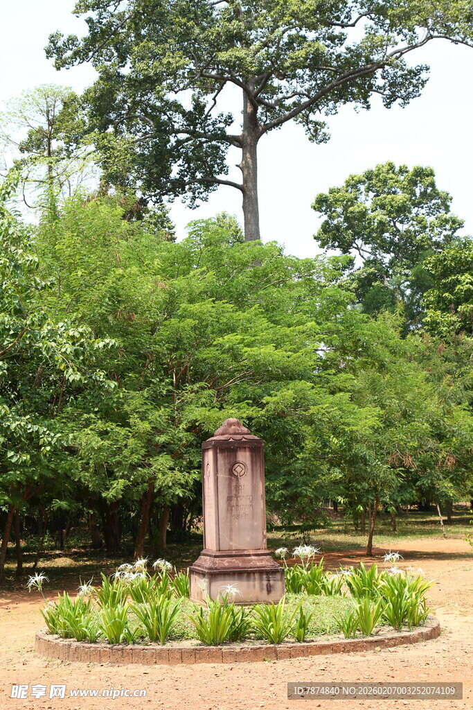 林中纪念碑 静谧自然景致