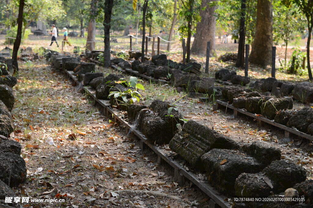 古老树林中的石像遗迹