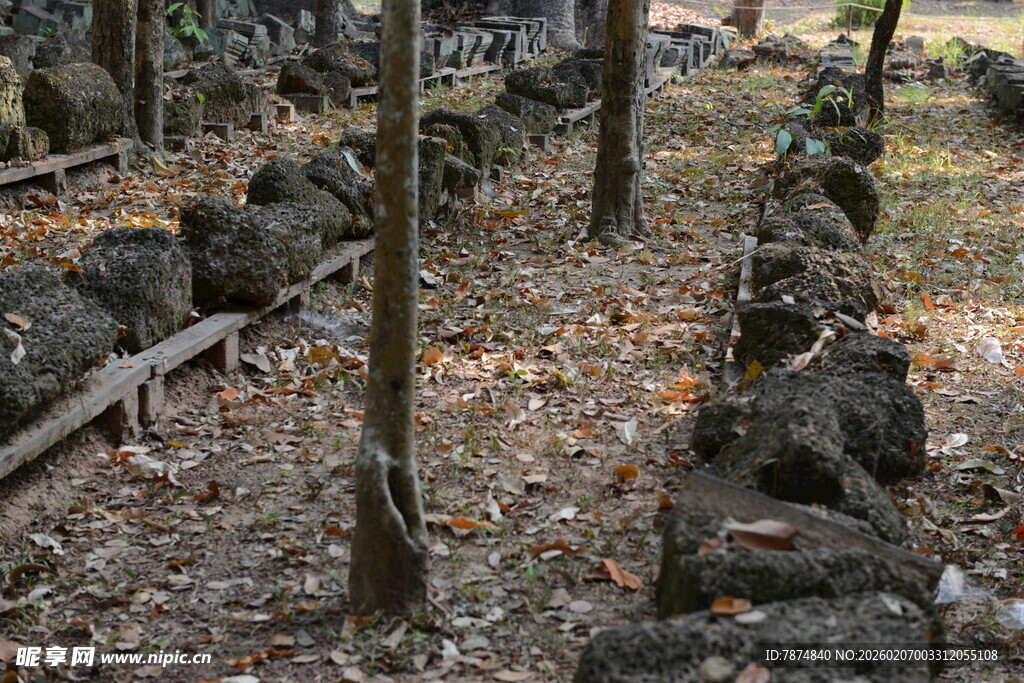 秋日林间的古老石堆遗迹