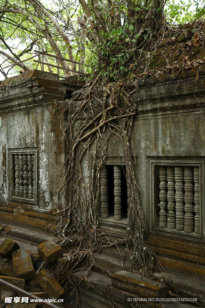 古老废弃建筑被藤蔓覆盖