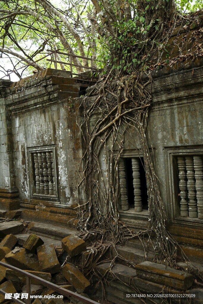 古老废墟被藤蔓缠绕的建筑