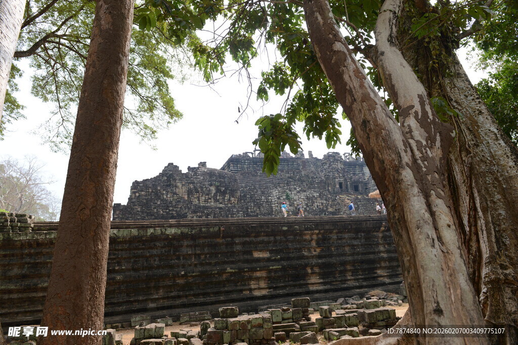 古老寺庙隐于繁茂树木间