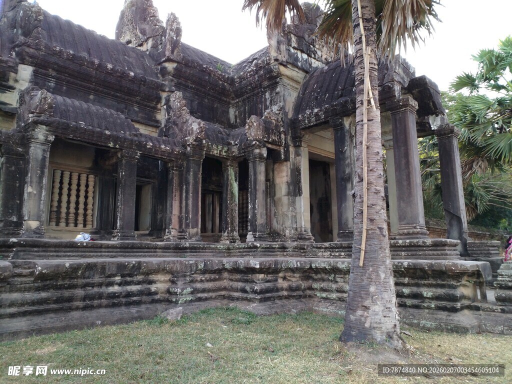 古老寺庙旁的高大棕榈树