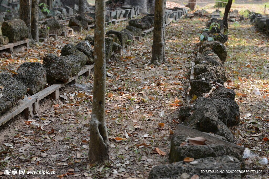 林间石景 静谧自然之境