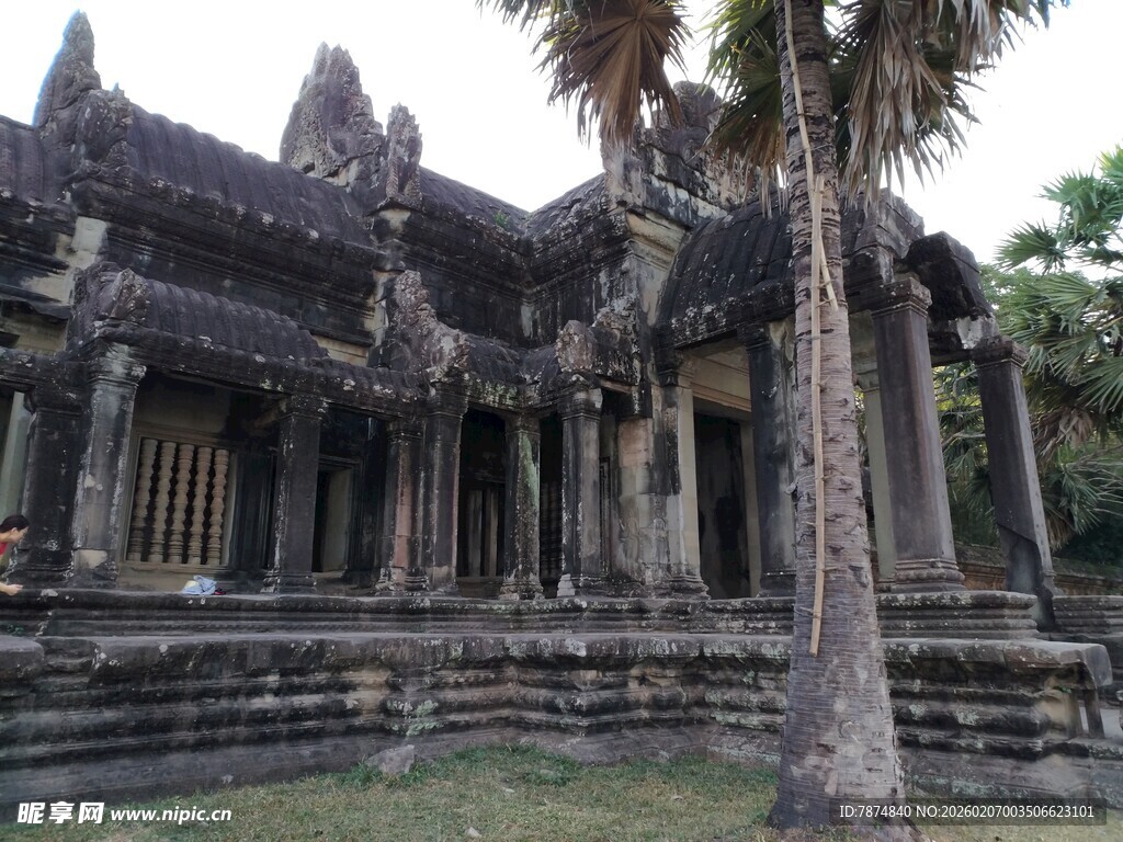 古老吴哥窟旁的高大棕榈树