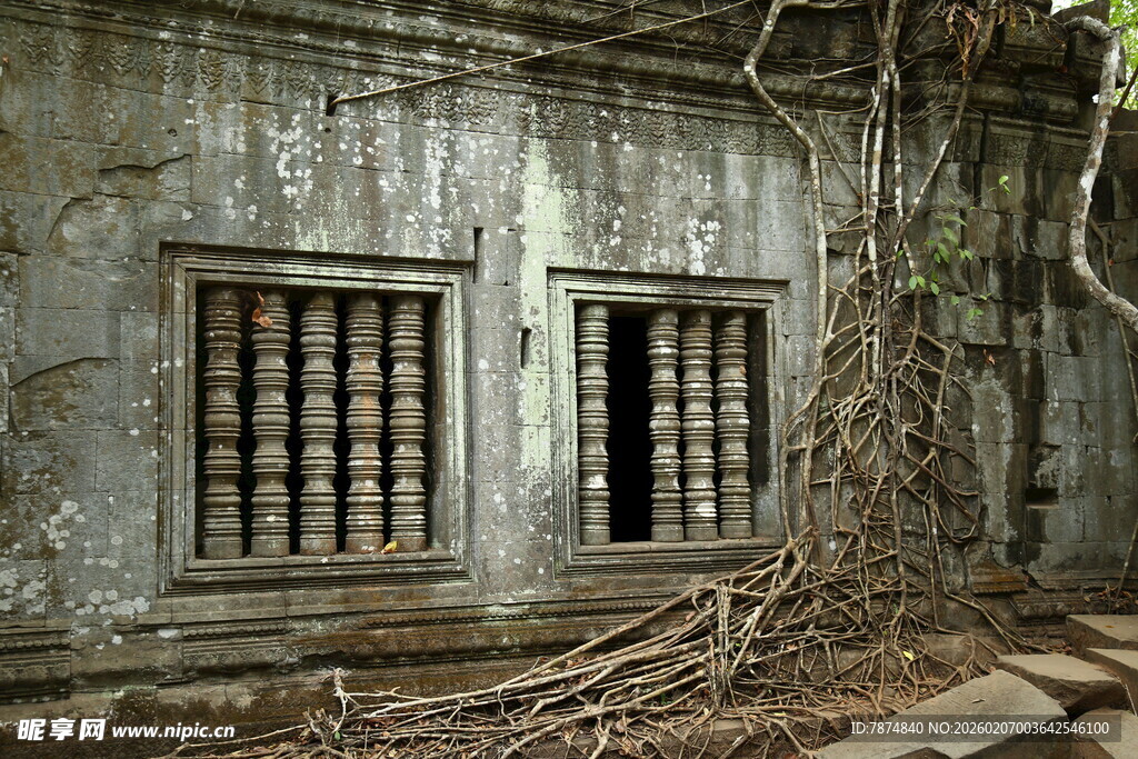 废弃老屋 藤蔓缠绕窗户