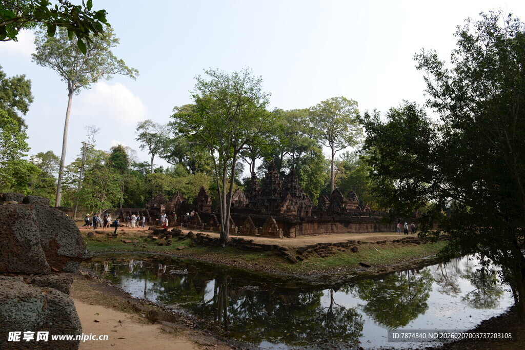 静谧池塘边的繁茂树林