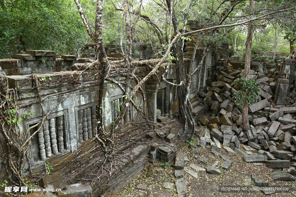 废弃建筑被藤蔓缠绕