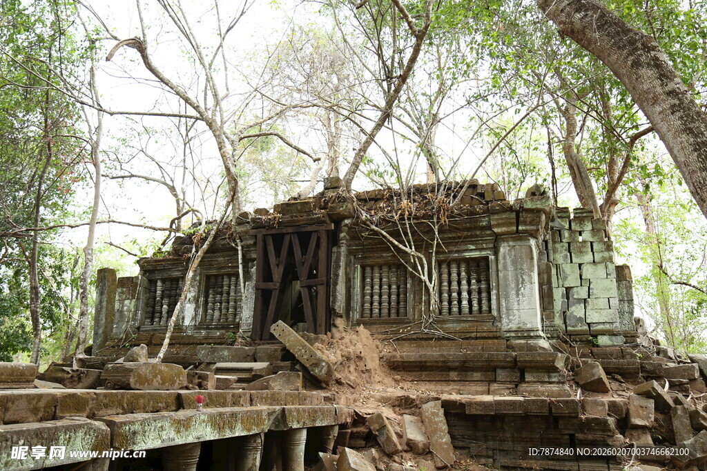 废弃木屋被绿植缠绕
