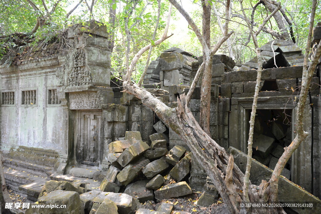 古老废墟被树木环绕