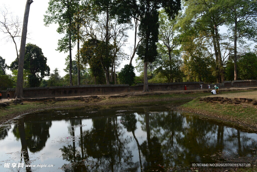 乡村静谧池塘与葱郁树林