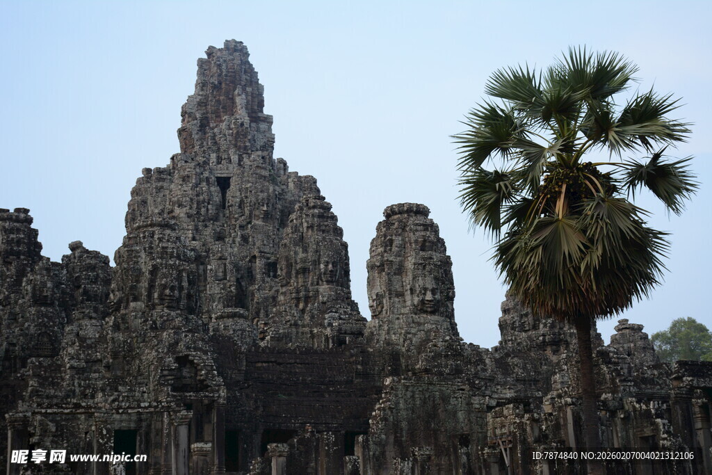 吴哥窟前的高大棕榈树