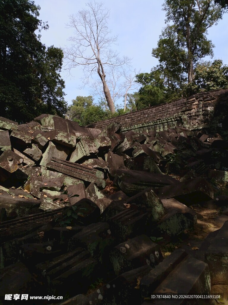 古老石堆旁的繁茂树林