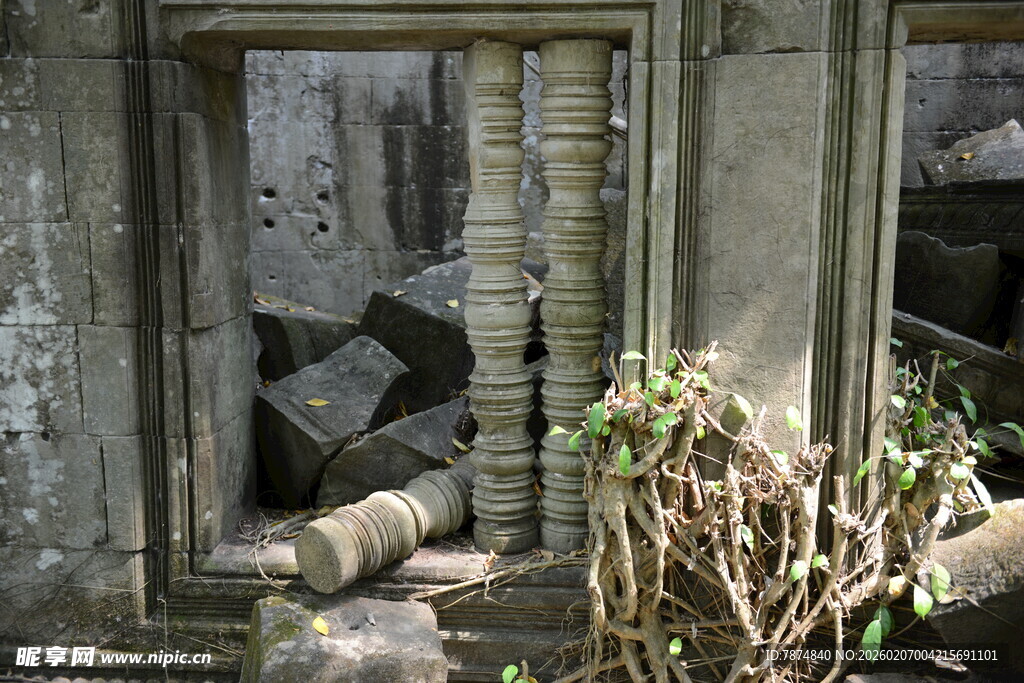 古老废墟中的自然与遗迹