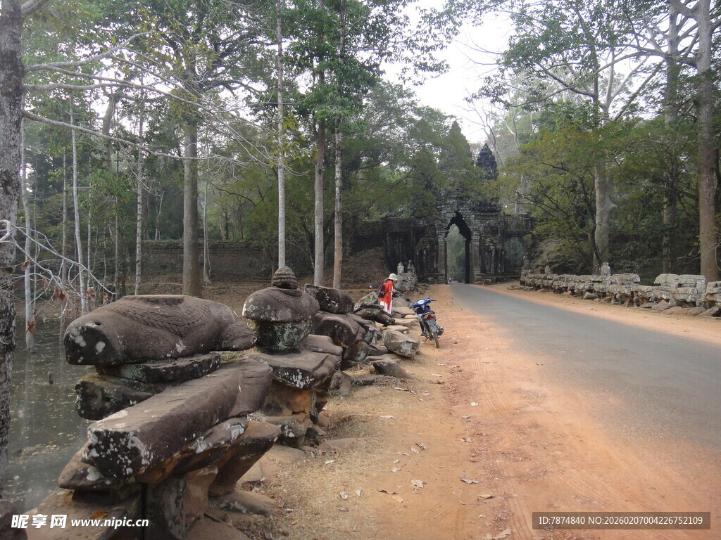 路边堆放的大量砍伐树木