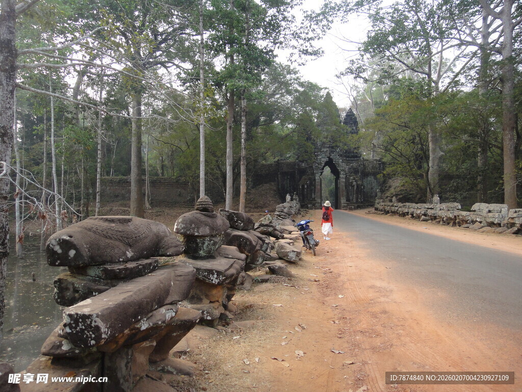 林间道路旁的枯木景观