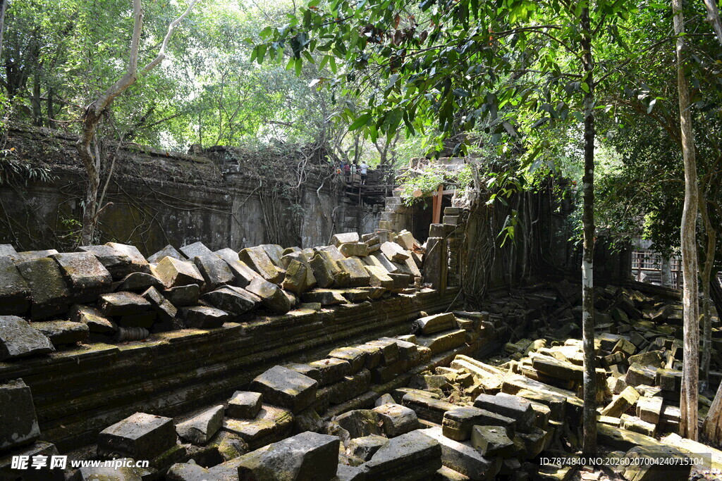 古老石堆与繁茂树林景观