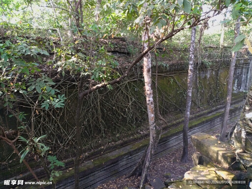 丛林中古老斑驳的石墙