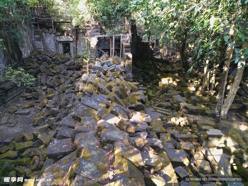 荒废石径 隐于草木之间